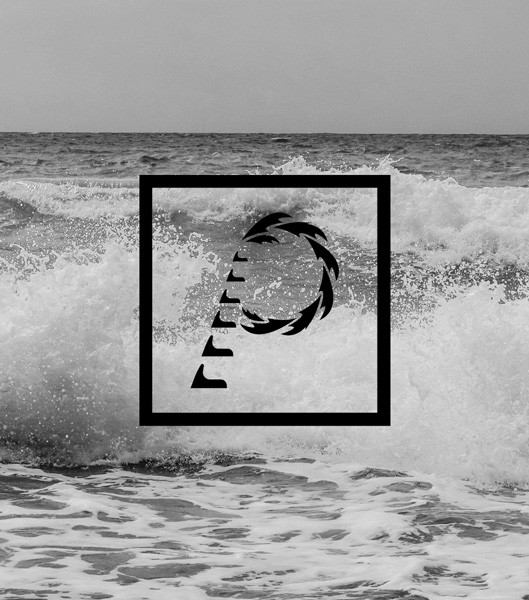 Thank you Photo - Palm Collective Marketing logo with black and white ocean background